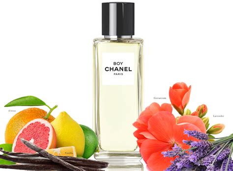 boy chanel perfume review|what is boy perfume called.